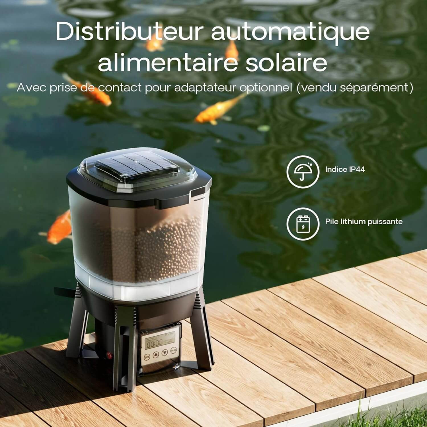 Distributeur automatique solaire Sunsun CFF-206 installé au bord d'un bassin à carpes koï