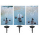 Ecumeur flottant Sunsun CSP-250 installation au centre d un bassin de jardin avec plantes et poissons