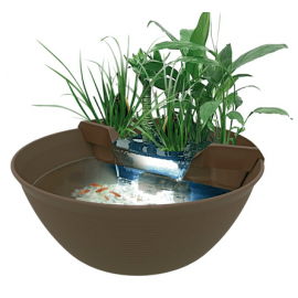 Superfish Mini Pond Maron - Mini bassin décoratif pour terrasse et jardin