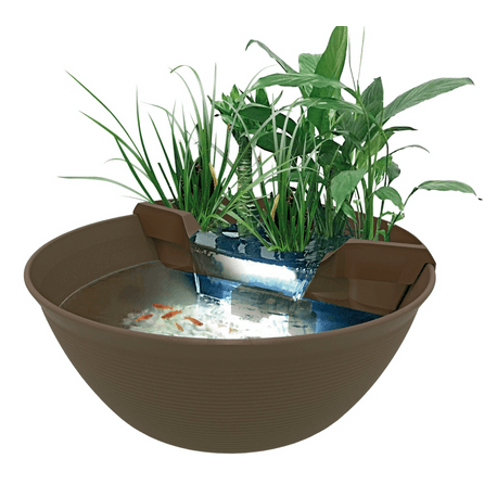 Superfish Mini Pond Maron - Mini bassin décoratif pour terrasse et jardin