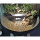Superfish Mini Pond Meuble - Support pour Patio Mini Pond