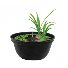 Medaka Bowl 420 - Bassin design pour élevage et observation des Medaka