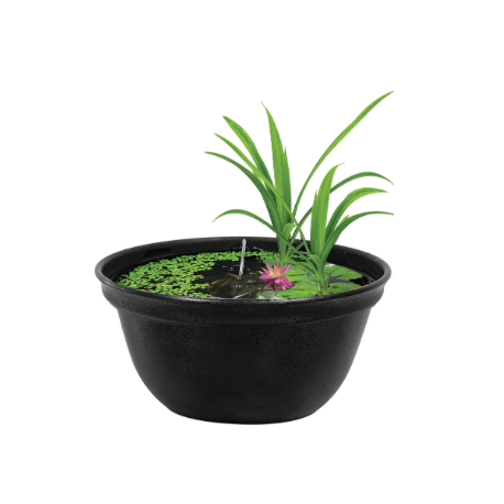 Medaka Bowl 420 - Bassin design pour élevage et observation des Medaka