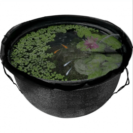 Medaka Bowl 420 - Bassin design pour élevage et observation des Medaka