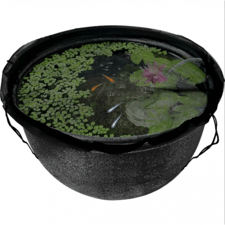 Medaka Bowl 420 - Bassin design pour élevage et observation des Medaka
