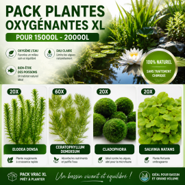 Pack Plantes Oxygènantes vrac XL pour 15000L-20000L