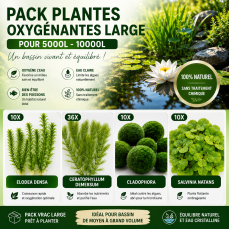 Pack Plantes Oxygènantes vrac Large pour 5000L-10000L