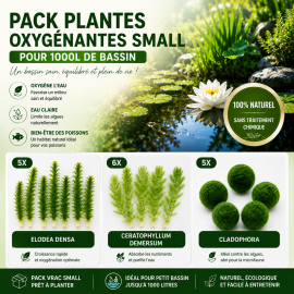 Pack Plantes Oxygènantes vrac Small pour 1000L
