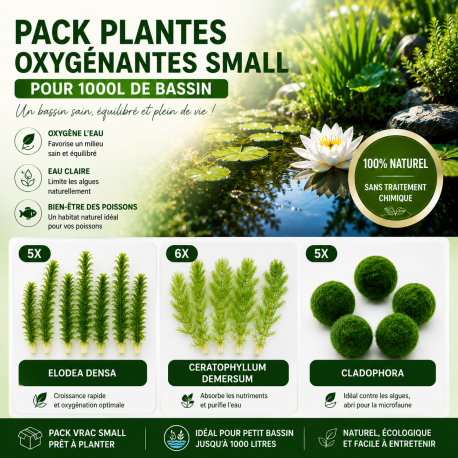 Pack Plantes Oxygènantes vrac Small pour 1000L