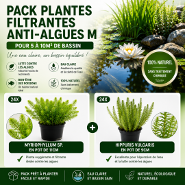 Pack Plantes filtrantes anti algues M pour 5 à 10m2