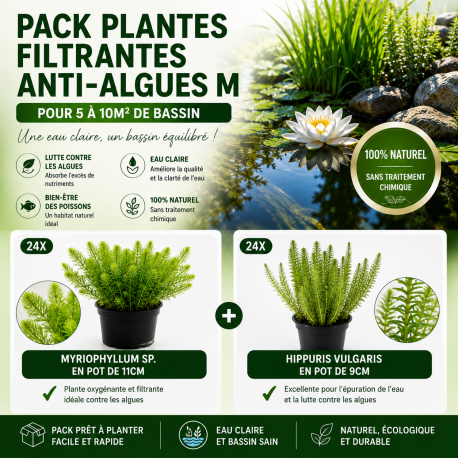 Pack Plantes filtrantes anti algues M pour 5 à 10m2