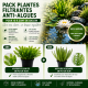 Pack Plantes filtrantes anti algues XL pour 10 à 20m2