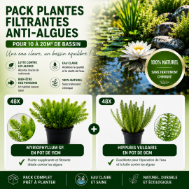 Pack Plantes filtrantes anti algues XL pour 10 à 20m2