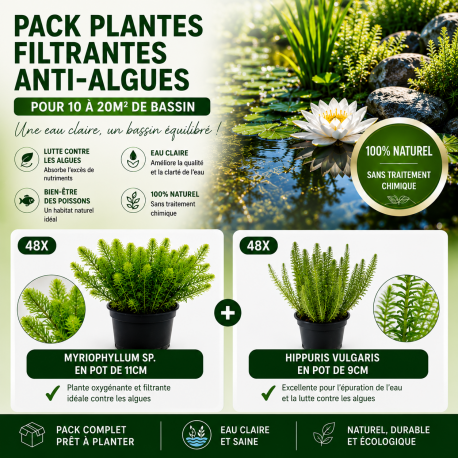 Pack Plantes filtrantes anti algues XL pour 10 à 20m2