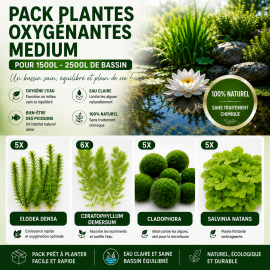 Pack Plantes Oxygènantes vrac Médium pour 1500L-2500L