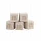 MAXSPECT NANO-TECH Bio Cubes 1 Kg - Support bactérien