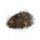 Gros plan composition substrat World Habitat Tropical terre sombre et botaniques