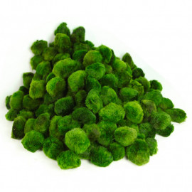 Cladophora Aegagropila boule de mousse filtrante pour aquarium d'eau douce