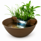 Superfish Mini Pond Maron - Mini bassin décoratif pour terrasse et jardin