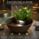 Superfish Mini Pond Maron - Mini bassin décoratif pour terrasse et jardin