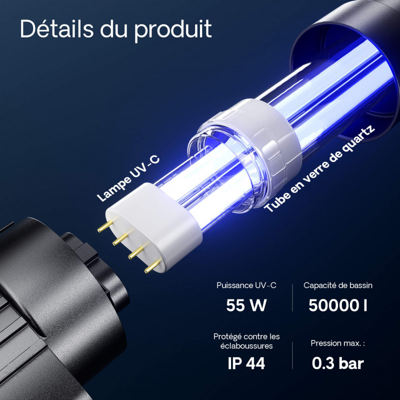 Désinfection UV-C : bactéries, virus, algues, maladies des poissons