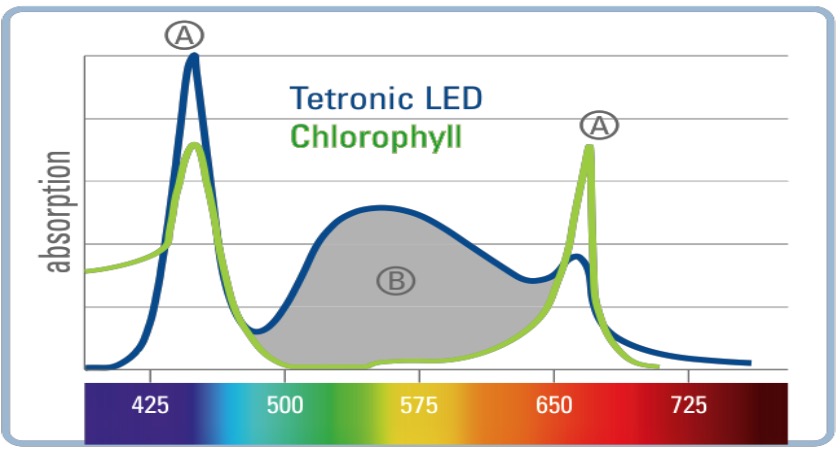Spectre lumineux spécifique pour la croissance des plantes d'aquarium