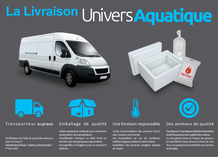 univers aquatique vous offre un trÃ¨s grand choix de poissons, crevettes et invertÃ©brÃ©s d'eau douce et d'eau de mer pour aquarium.