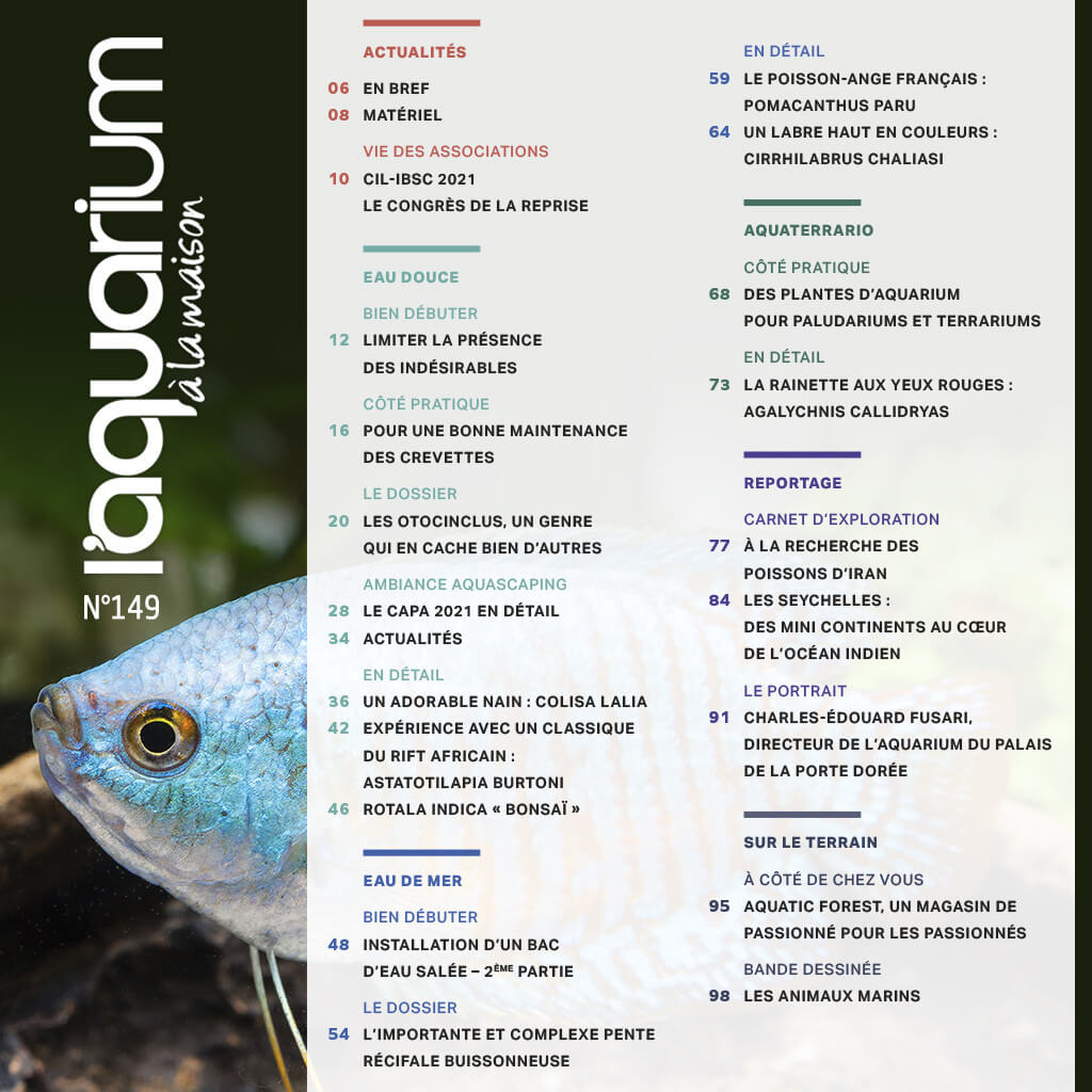 ACTUALITÉS  06 EN BREF  08 MATÉRIEL  VIE DES ASSOCIATIONS 10 CIL-IBSC 2021  LE CONGRÈS DE L A REPRISE   EAU DOUCE  BIEN DÉBUTER 12 LIMITER LA PRÉSENCE  DES INDÉSIRABLES  CÔTÉ PRATIQUE 16 POUR UNE BONNE MAINTE NANCE  DES CREVETTES  LE DOSSIER 20 LES OTOCINCLUS, UN GENRE QUI EN CACHE BIEN D’AUTRES  AMBIANCE AQUASCAPING 28 LE CAPA 2021 EN DÉTAIL  34 ACTUALITÉS  EN DÉTAIL 36 UN ADORABLE NAIN : COLISA L ALIA  42 EXPÉRIENCE AVEC UN CL ASSIQUE  DU RIFT AFRICAIN :  ASTATOTILAPIA BURTONI  46 ROTALA INDICA « BONSAÏ »   EAU DE MER  BIEN DÉBUTER 48 INSTALLATION D’UN BAC  D’EAU SALÉE – 2ÈME PARTIE  LE DOSSIER 54 L’IMPORTANTE ET COMPLEXE PENTE RÉCIFALE BUISSONNEUSE  EN DÉTAIL 59 LE POISSON-ANGE FRANÇAIS :  POMACANTHUS PARU  64 UN LABRE HAUT EN COULEURS :  CIRRHILABRUS CHALIASI   AQUATERRARIO  CÔTÉ PRATIQUE 68 DES PLANTES D’AQUARIUM  POUR PALUDARIUMS ET TERRARIUMS  EN DÉTAIL 73 LA RAINETTE AUX YEUX ROUGES : AGALYCHNIS CALLIDRYAS   REPORTAGE  CARNET D’EXPLORATION 77 À LA RECHERCHE DES  POISSONS D’IRAN  84 LES SEYCHELLES :  DES MINI CONTINENTS AU COEUR  DE L’OCÉAN INDIEN  LE PORTRAIT 91 CHARLES-ÉDOUARD FUSARI,  DIRECTEUR DE L’AQUARIUM DU PALAIS DE LA PORTE DORÉE  SUR LE TERRAIN  À CÔTÉ DE CHEZ VOUS 95 AQUATIC FOREST, UN MAGASIN DE PASSIONNÉ POUR LES PASSIONNÉS  BANDE DESSINÉE 98 LES ANIMAUX MARINS