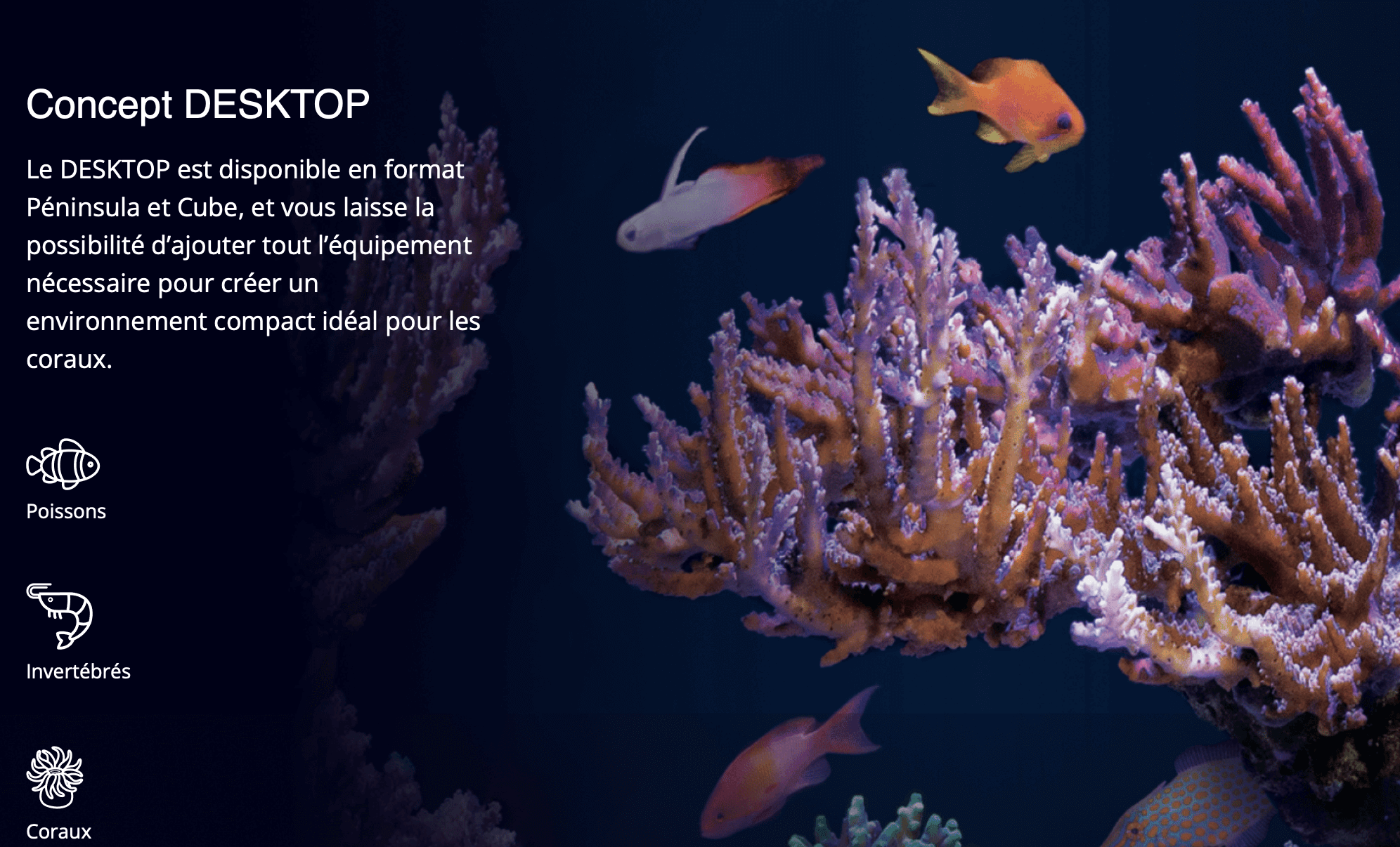 Concept DESKTOP  Le DESKTOP est disponible en format Péninsula et Cube, et vous laisse la possibilité d’ajouter tout l’équipement nécessaire pour créer un environnement compact idéal pour les coraux.