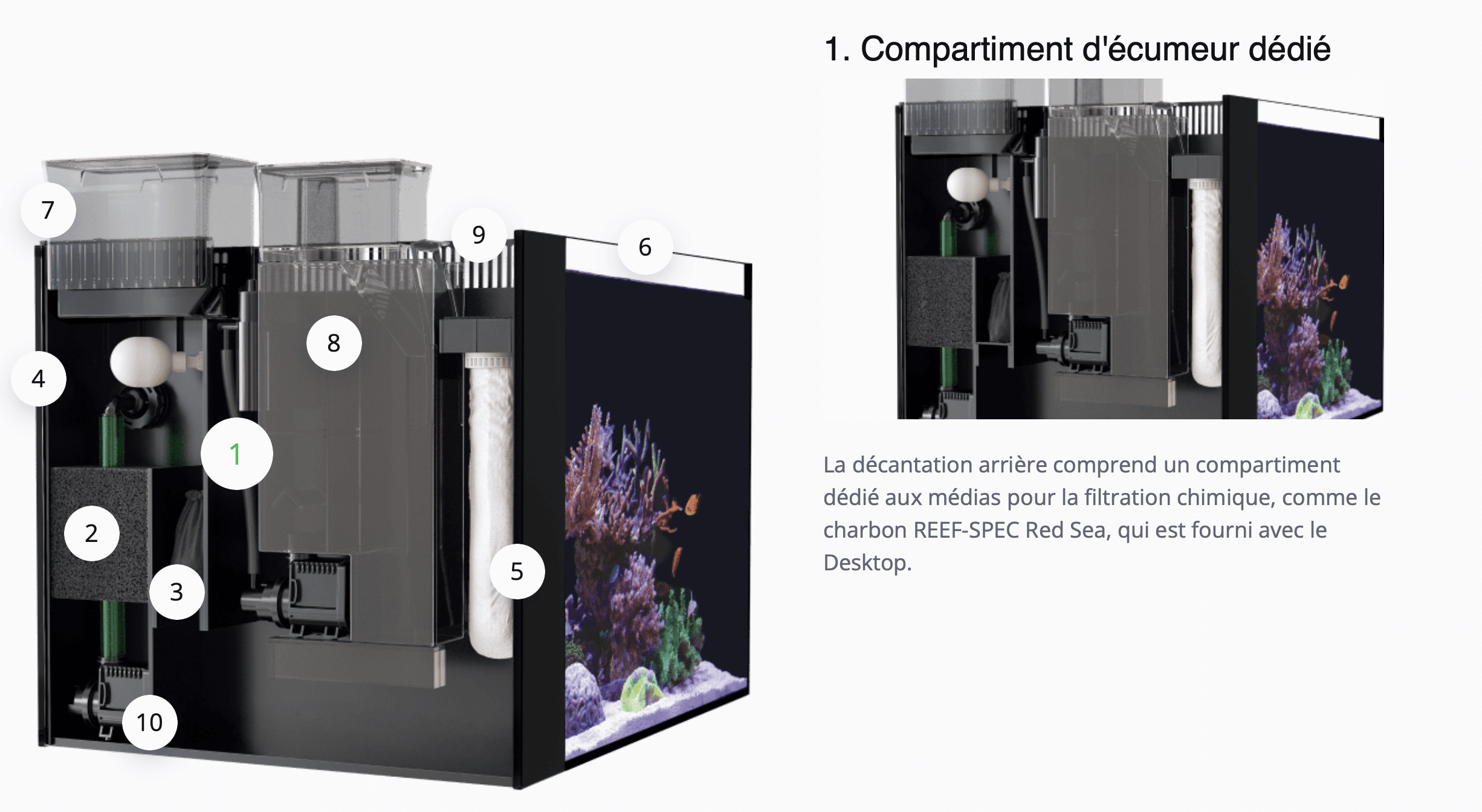 La décantation arrière comprend un compartiment dédié aux médias pour la filtration chimique, comme le charbon REEF-SPEC Red Sea, qui est fourni avec le Desktop.