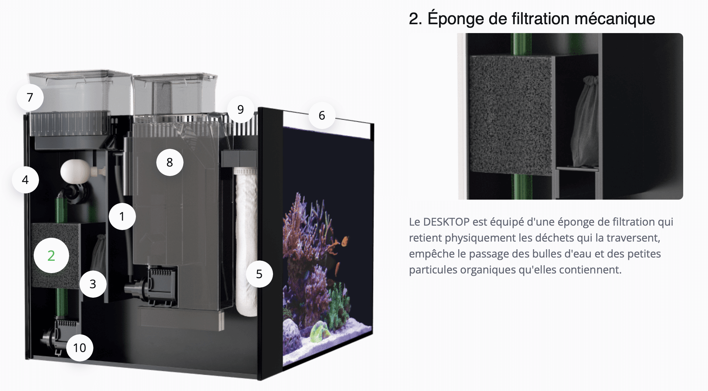 Le DESKTOP est équipé d'une éponge de filtration qui retient physiquement les déchets qui la traversent, empêche le passage des bulles d'eau et des petites particules organiques qu'elles contiennent.