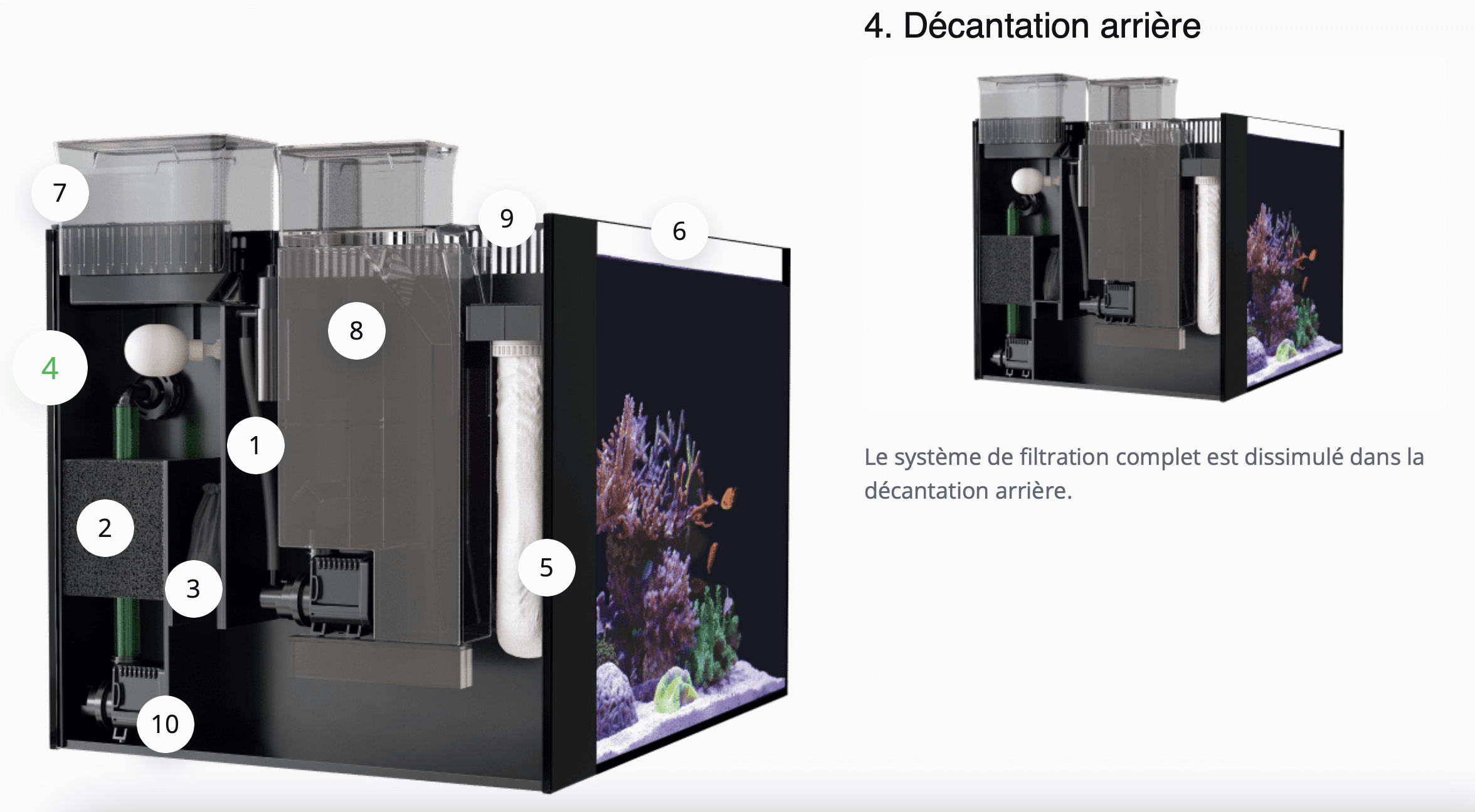 Le système de filtration complet est dissimulé dans la décantation arrière.