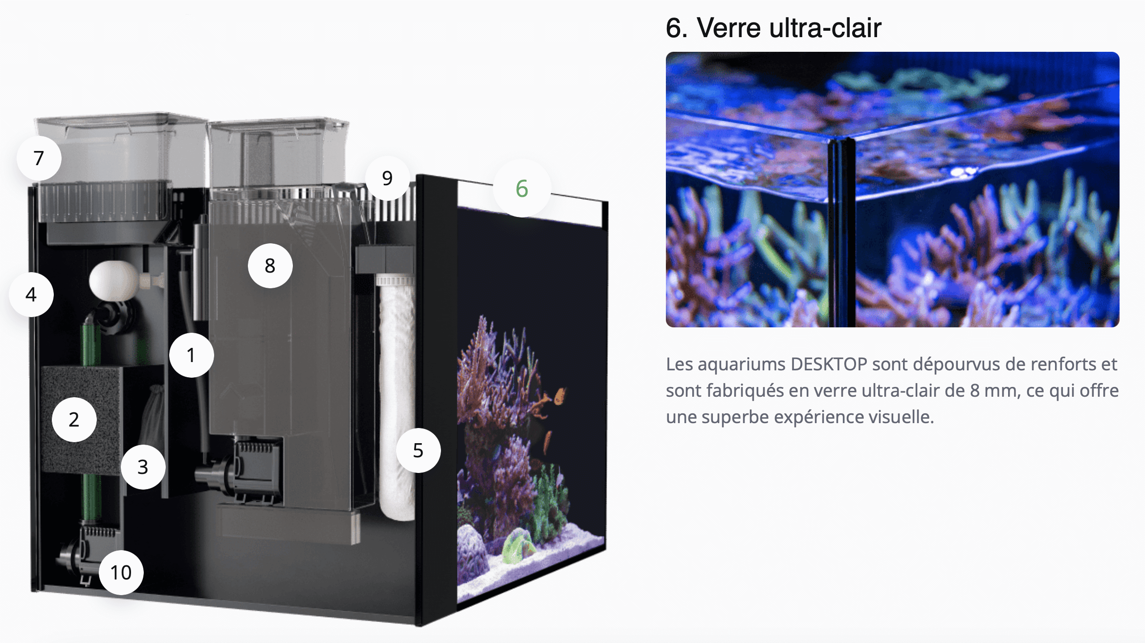 Les aquariums DESKTOP sont dépourvus de renforts et sont fabriqués en verre ultra-clair de 8 mm, ce qui offre une superbe expérience visuelle.