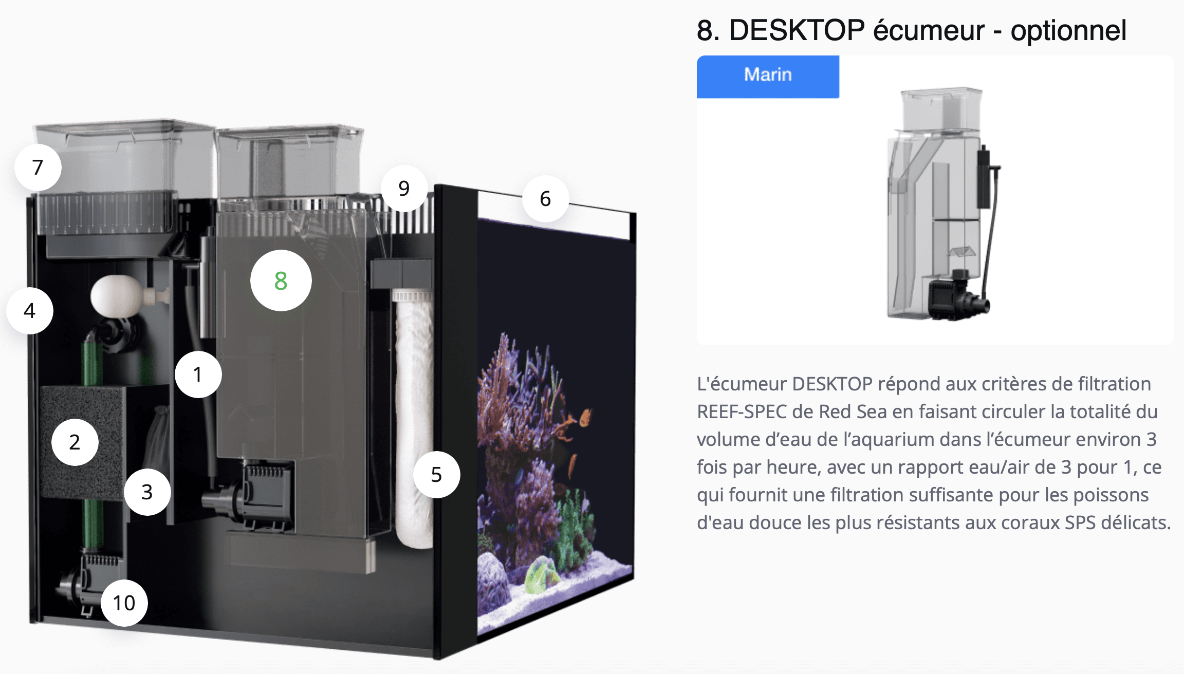 L'écumeur DESKTOP répond aux critères de filtration REEF-SPEC de Red Sea en faisant circuler la totalité du volume d’eau de l’aquarium dans l’écumeur environ 3 fois par heure, avec un rapport eau/air de 3 pour 1, ce qui fournit une filtration suffisante pour les poissons d'eau douce les plus résistants aux coraux SPS délicats.