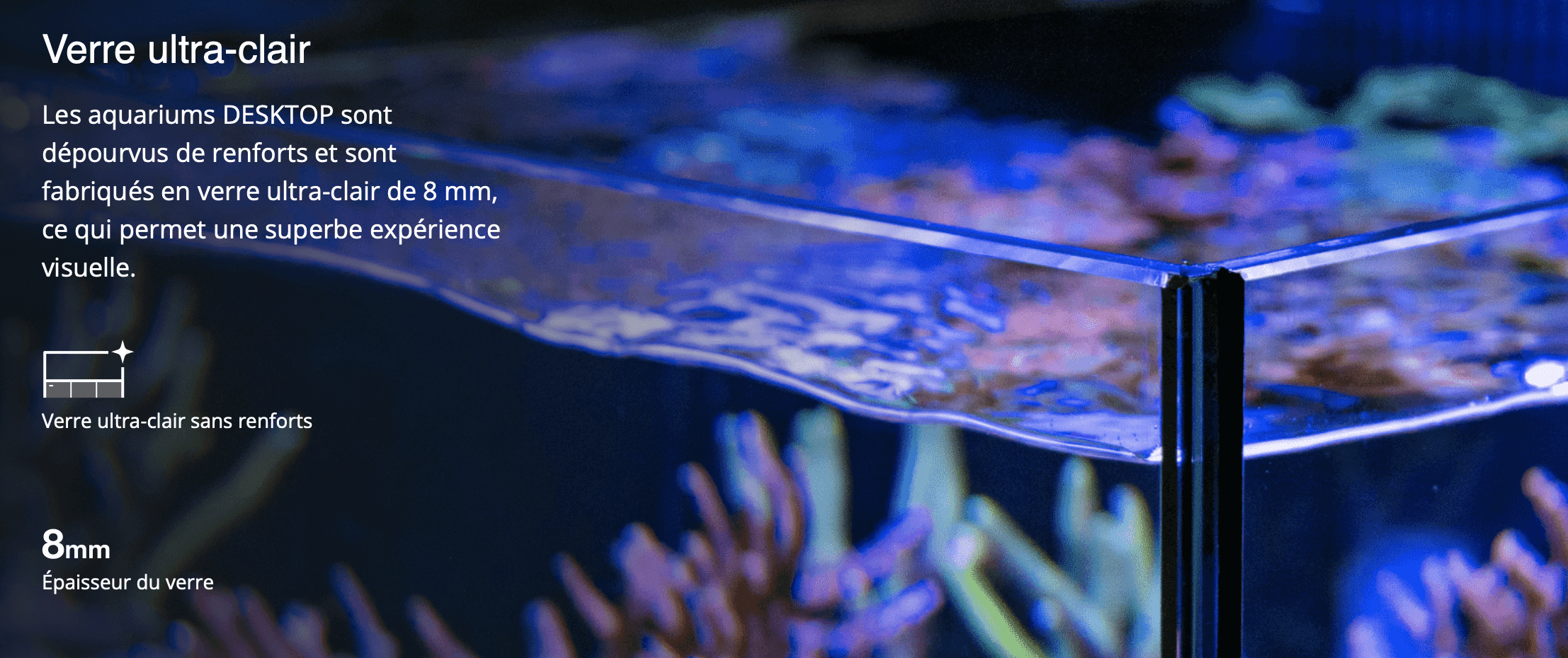 Verre ultra-clair  Les aquariums DESKTOP sont dépourvus de renforts et sont fabriqués en verre ultra-clair de 8 mm, ce qui permet une superbe expérience visuelle.